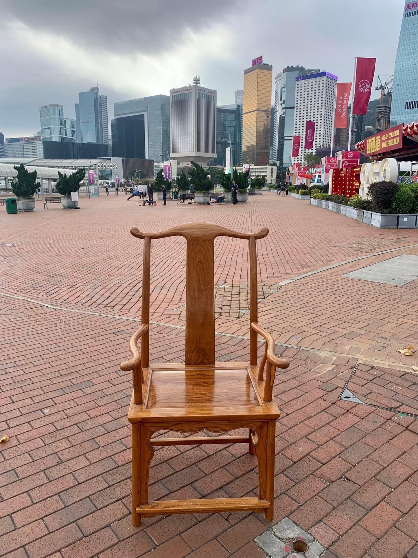 Peacock Visible Chair