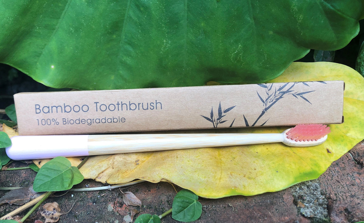 Adult Bamboo Toothbrush